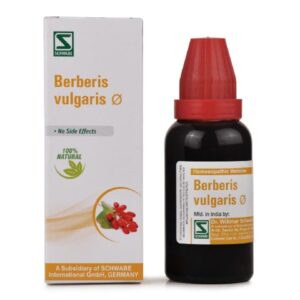 Willmar Schwabe India Berberis vulgaris 1X (Q) (30ml)