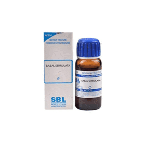 SBL Sabal Serrulata Q