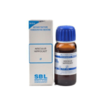 SBL Aesculus Hippocastanum Mother Tincture (Q)