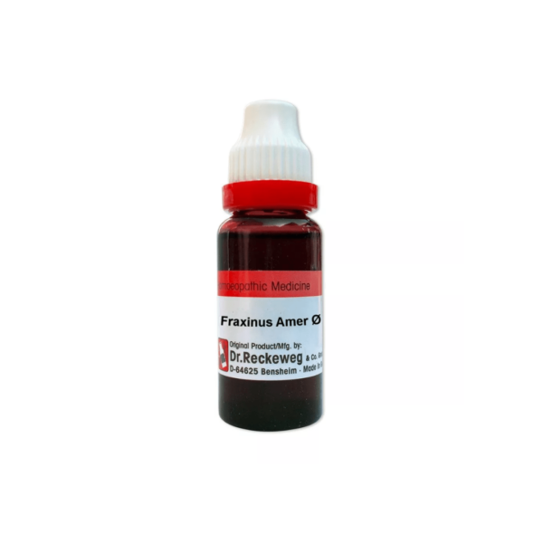 Dr Reckeweg Fraxinus Americana (Q) - 20ml