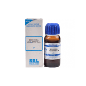 SBL Echinacea Angustifolia (Q) - 30ml
