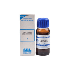 SBL Gaultheria Procumbens Mother Tincture (Q) - 30ml